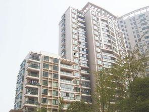 龙兴嘉苑爆料最新消息,揭秘项目进展与周边动态