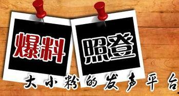 喀左新闻爆料电话,揭秘喀左最新动态，一键掌握民生资讯！